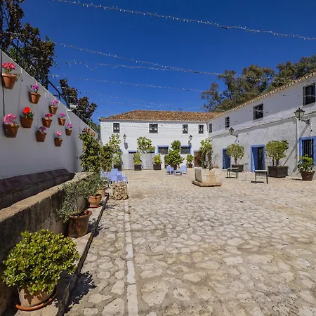 Cubo's Cortijo San Antonio