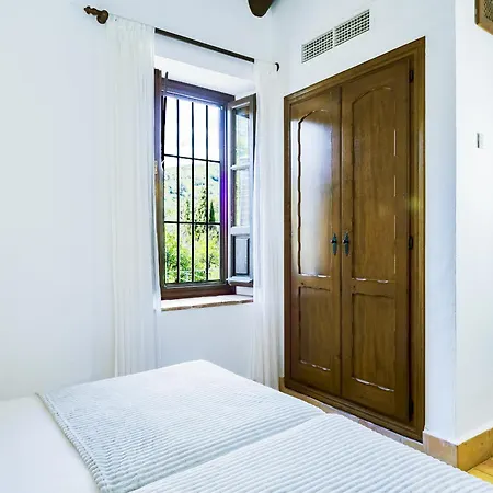 Cubo's Cortijo San Antonio